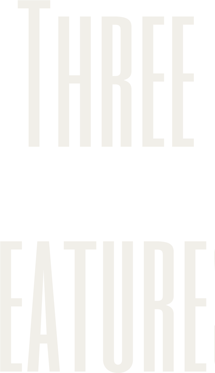 THREE FEATURES